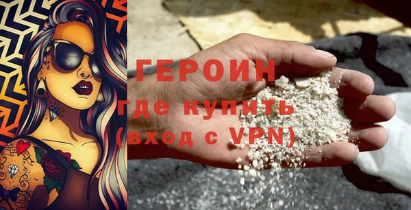 прущие грибы Ельня