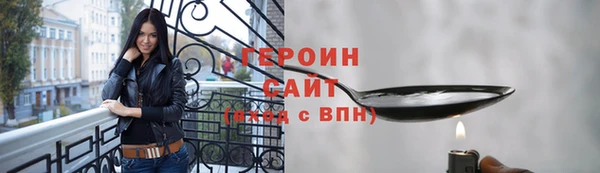 прущие грибы Ельня