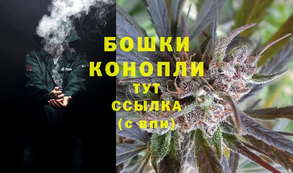 соль ск Елабуга