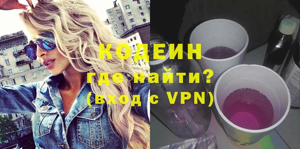прущие грибы Ельня