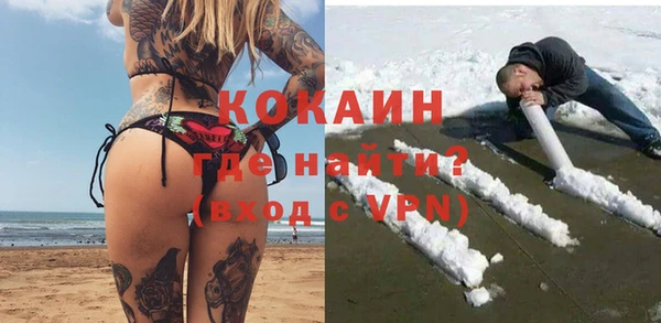 прущие грибы Ельня