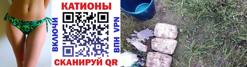 МЯУ-МЯУ мяу мяу  Купить закладки  Семилуки