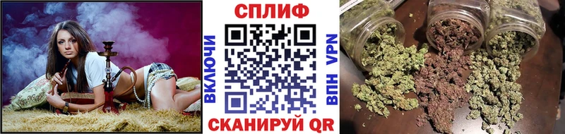 Шишки марихуана планчик  Купить закладки  Семилуки 